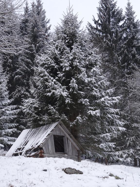 Rojerhof Villa Schladming Bagian luar foto
