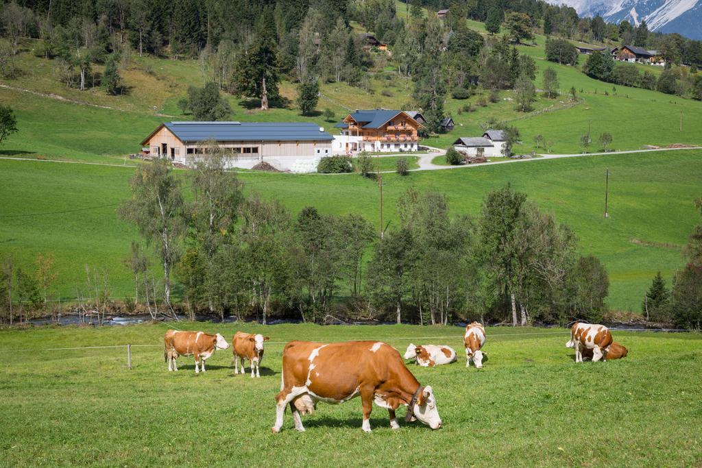 Rojerhof Villa Schladming Bagian luar foto