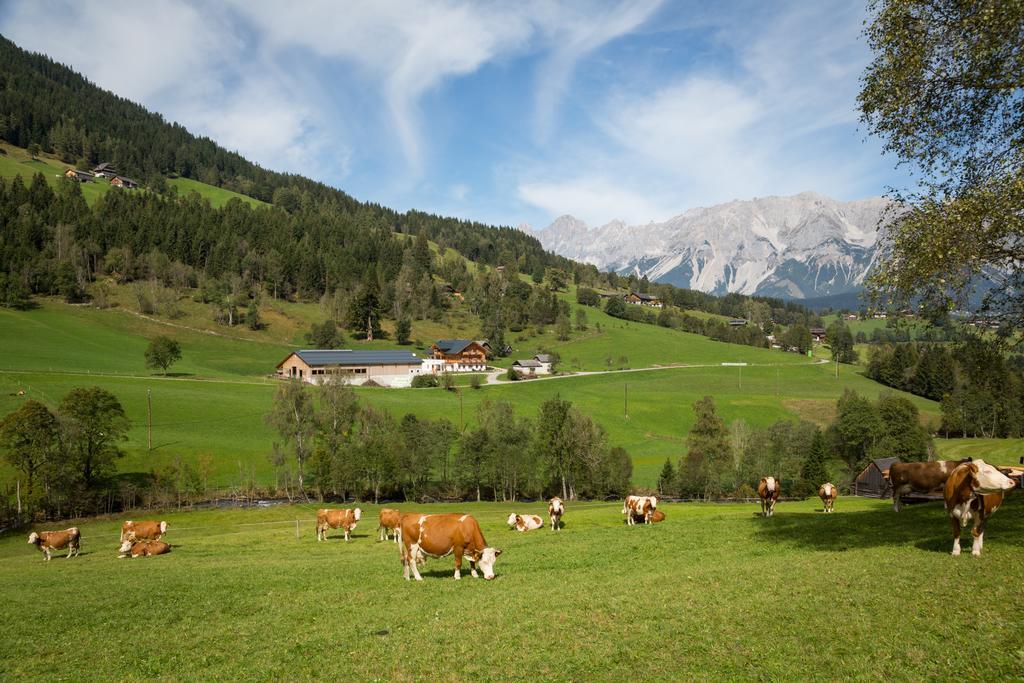 Rojerhof Villa Schladming Bagian luar foto